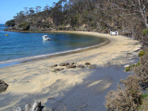 Stewart Island beach in Summer.