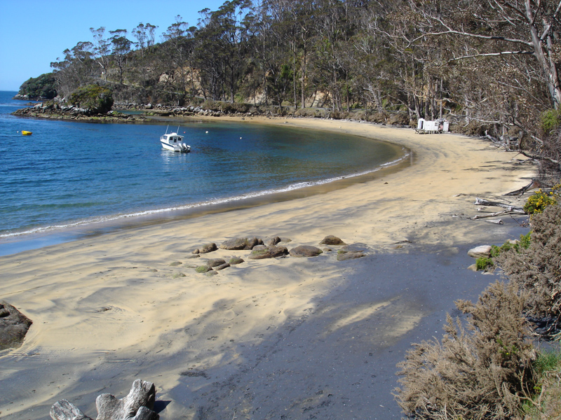 Stewart Island beach