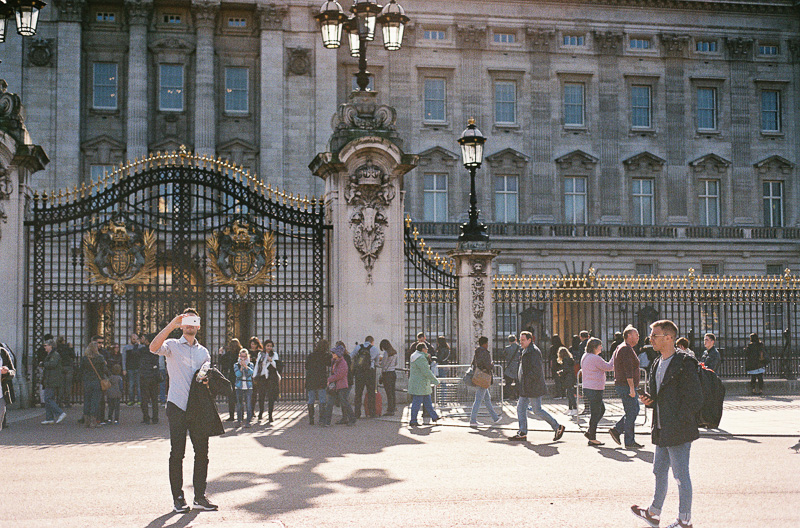 Buckingham palace in summer.