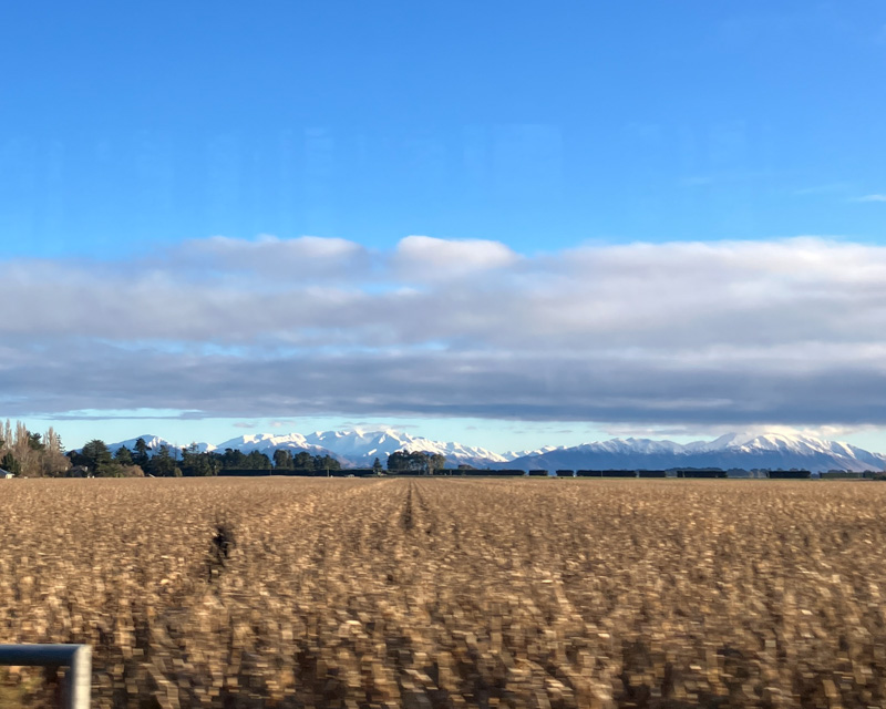 South Island fields while traveling between Christchurch and Twizel