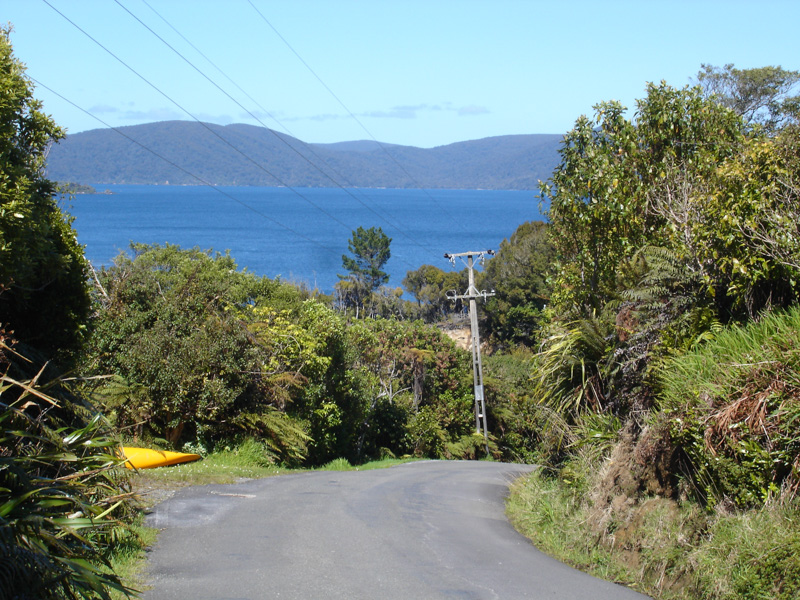 View walking on Stewart Island